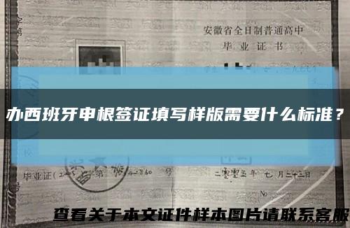 辦西班牙申根簽證填寫樣版需要什么標準？縮略圖