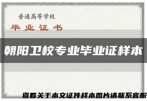朝陽衛校專業畢業證樣本縮略圖