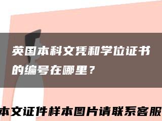 英國本科文憑和學位證書的編號在哪里？縮略圖