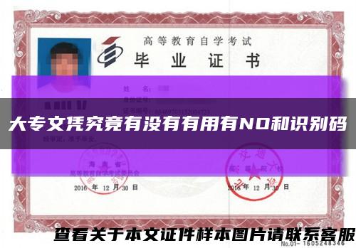 大專文憑究竟有沒有有用有NO和識別碼縮略圖