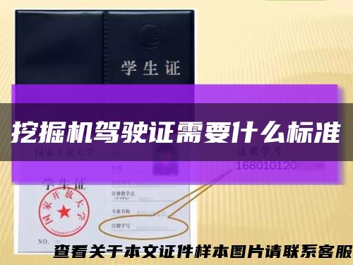 挖掘機駕駛證需要什么標準縮略圖