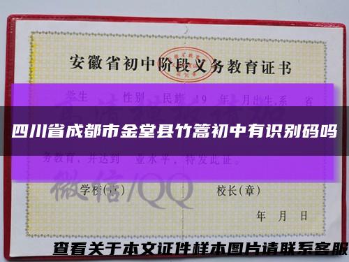 四川省成都市金堂縣竹篙初中有識別碼嗎縮略圖