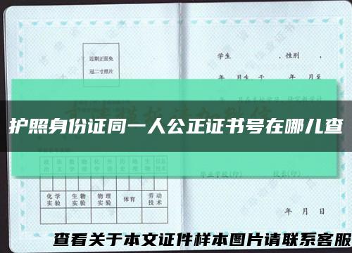 護照身份證同一人公正證書號在哪兒查縮略圖