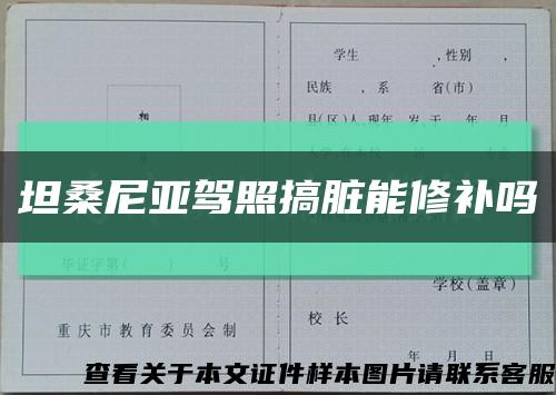 坦桑尼亞駕照搞臟能修補嗎縮略圖