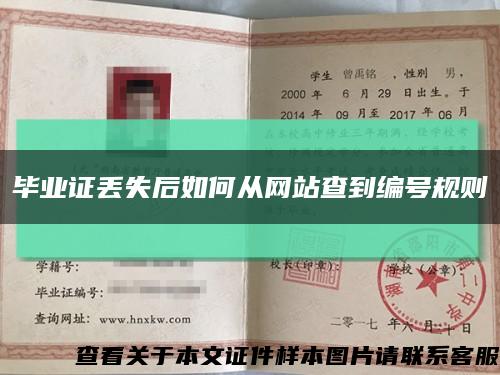 畢業證丟失后如何從網站查到編號規則縮略圖