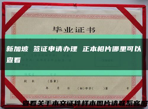 新加坡 簽證申請辦理 正本相片哪里可以查看縮略圖