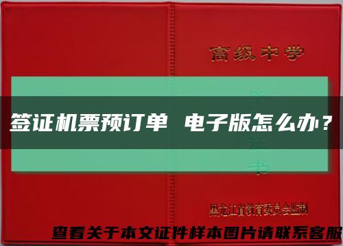 簽證機票預訂單 電子版怎么辦？縮略圖