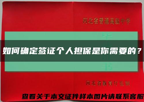 如何確定簽證個人擔保是你需要的？縮略圖