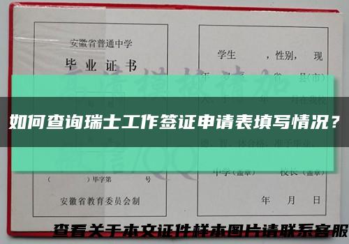 如何查詢瑞士工作簽證申請表填寫情況？縮略圖
