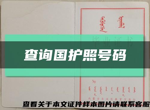 查詢國護照號碼縮略圖