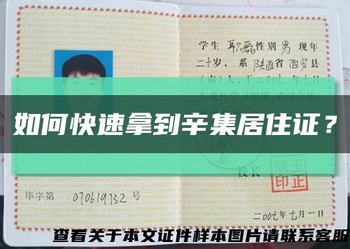 如何快速拿到辛集居住證？縮略圖
