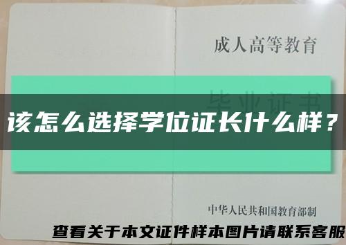 該怎么選擇學位證長什么樣？縮略圖