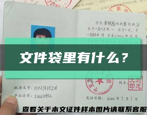 文件袋里有什么？縮略圖