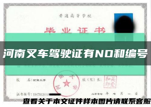 河南叉車駕駛證有NO和編號縮略圖