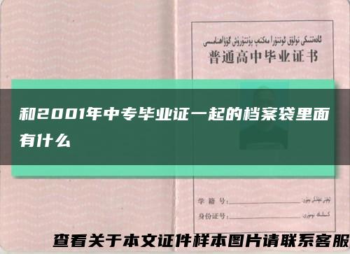 和2001年中專畢業證一起的檔案袋里面有什么縮略圖