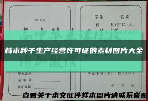 林木種子生產經營許可證的素材圖片大全縮略圖