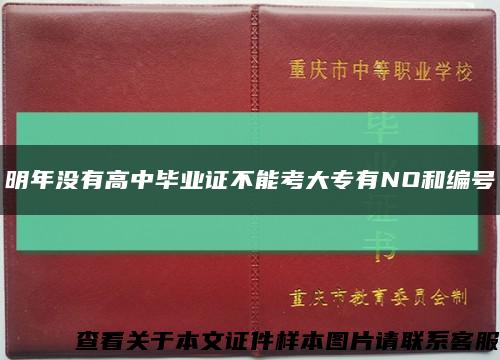 明年沒有高中畢業證不能考大專有NO和編號縮略圖