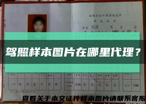駕照樣本圖片在哪里代理？縮略圖