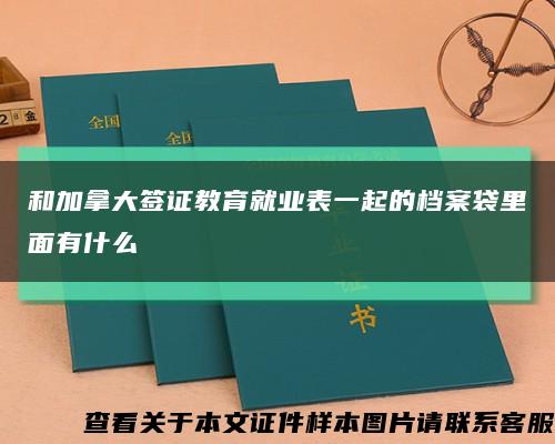 和加拿大簽證教育就業表一起的檔案袋里面有什么縮略圖