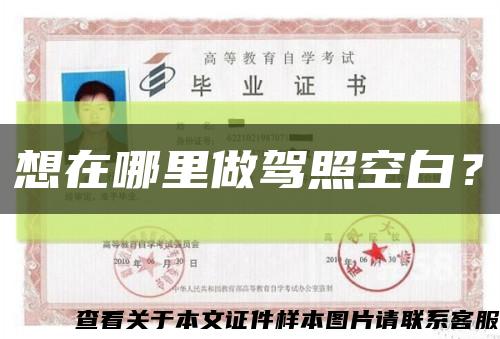 想在哪里做駕照空白？縮略圖
