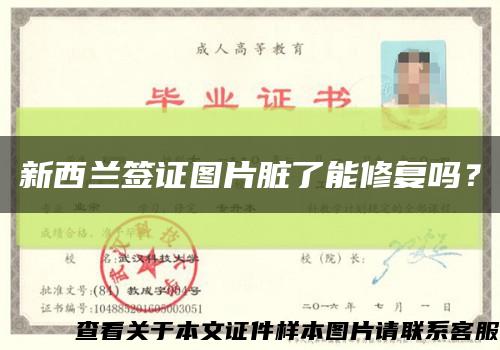 新西蘭簽證圖片臟了能修復嗎？縮略圖