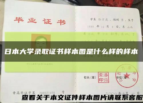 日本大學錄取證書樣本圖是什么樣的樣本縮略圖