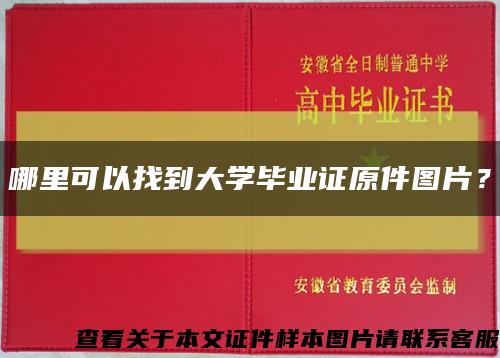 哪里可以找到大學畢業證原件圖片？縮略圖