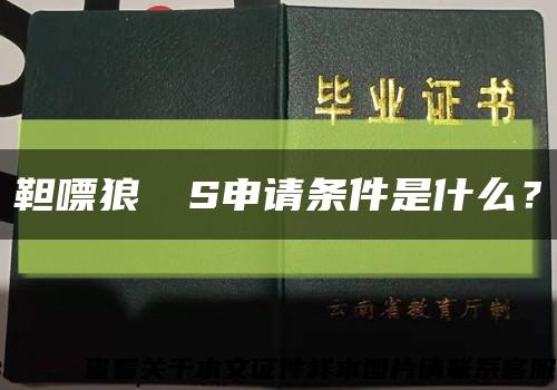 靼嘌狼┲ぴS申請條件是什么？縮略圖