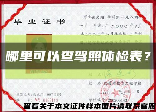 哪里可以查駕照體檢表？縮略圖