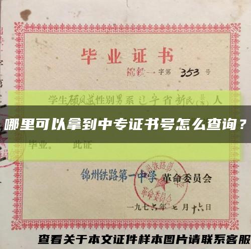 哪里可以拿到中專證書號怎么查詢？縮略圖