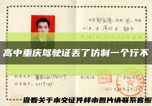 高中重慶駕駛證丟了仿制一個行不縮略圖
