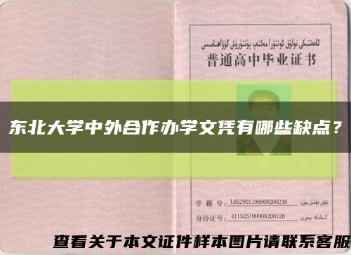 東北大學中外合作辦學文憑有哪些缺點？縮略圖