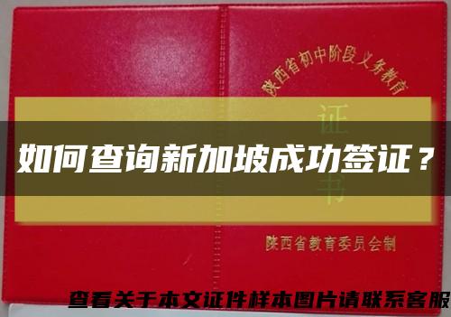 如何查詢新加坡成功簽證？縮略圖