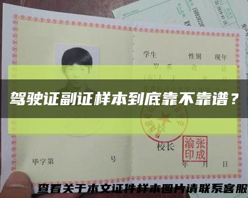駕駛證副證樣本到底靠不靠譜？縮略圖