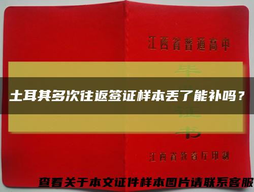 土耳其多次往返簽證樣本丟了能補嗎？縮略圖