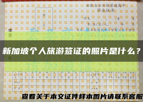 新加坡個人旅游簽證的照片是什么？縮略圖