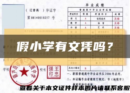 假小學有文憑嗎？縮略圖