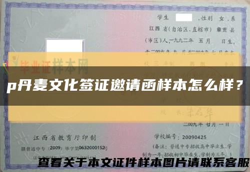p丹麥文化簽證邀請函樣本怎么樣？縮略圖