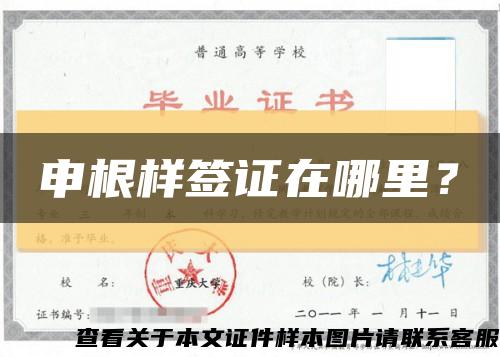 申根樣簽證在哪里？縮略圖