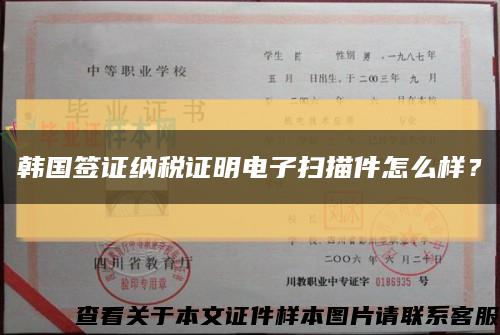 韓國簽證納稅證明電子掃描件怎么樣？縮略圖