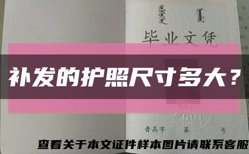 補發的護照尺寸多大？縮略圖