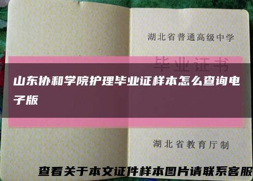 山東協和學院護理畢業證樣本怎么查詢電子版縮略圖
