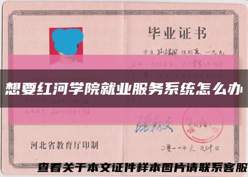 想要紅河學院就業服務系統怎么辦縮略圖