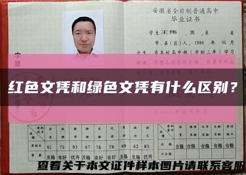 紅色文憑和綠色文憑有什么區別？縮略圖