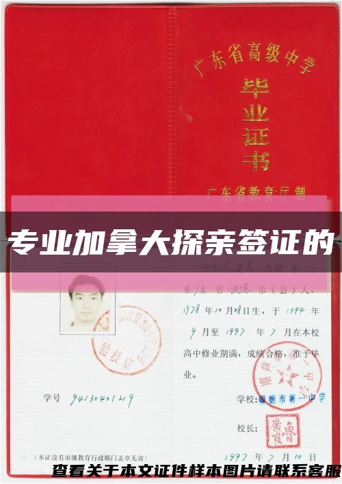 專業加拿大探親簽證的縮略圖