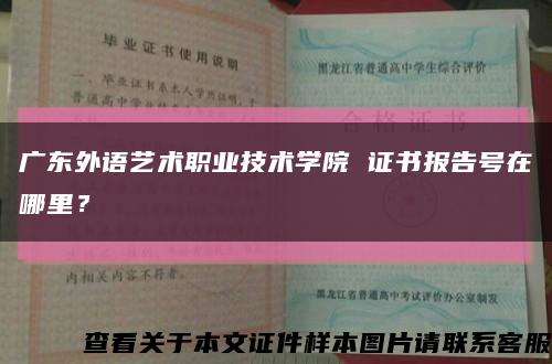 廣東外語藝術職業技術學院 證書報告號在哪里？縮略圖