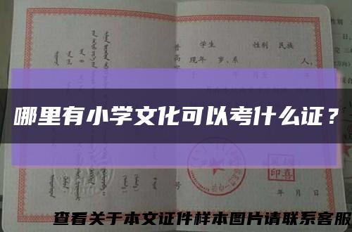 哪里有小學文化可以考什么證？縮略圖