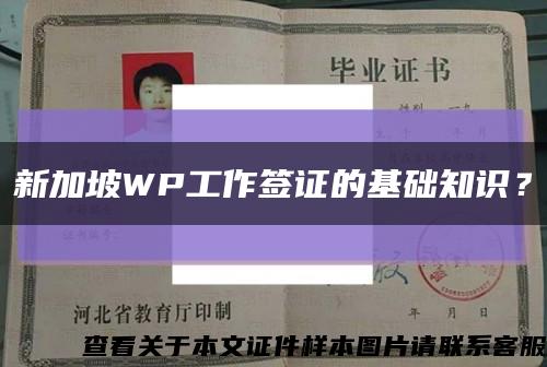 新加坡WP工作簽證的基礎知識？縮略圖