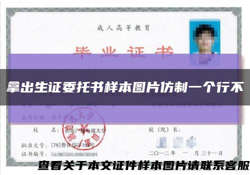 拿出生證委托書樣本圖片仿制一個行不縮略圖