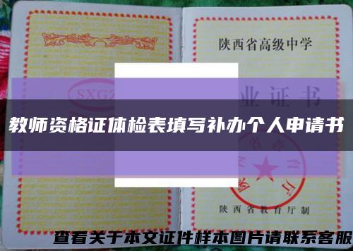 教師資格證體檢表填寫補辦個人申請書縮略圖